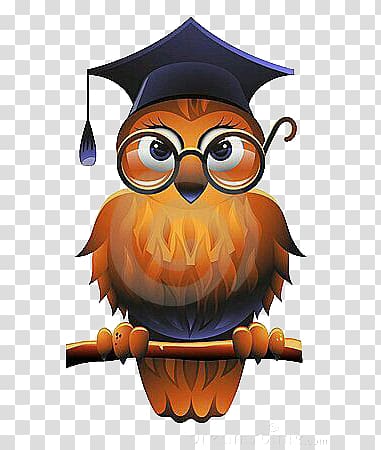 cartoon owl with bachelor cap transparent background PNG clipart