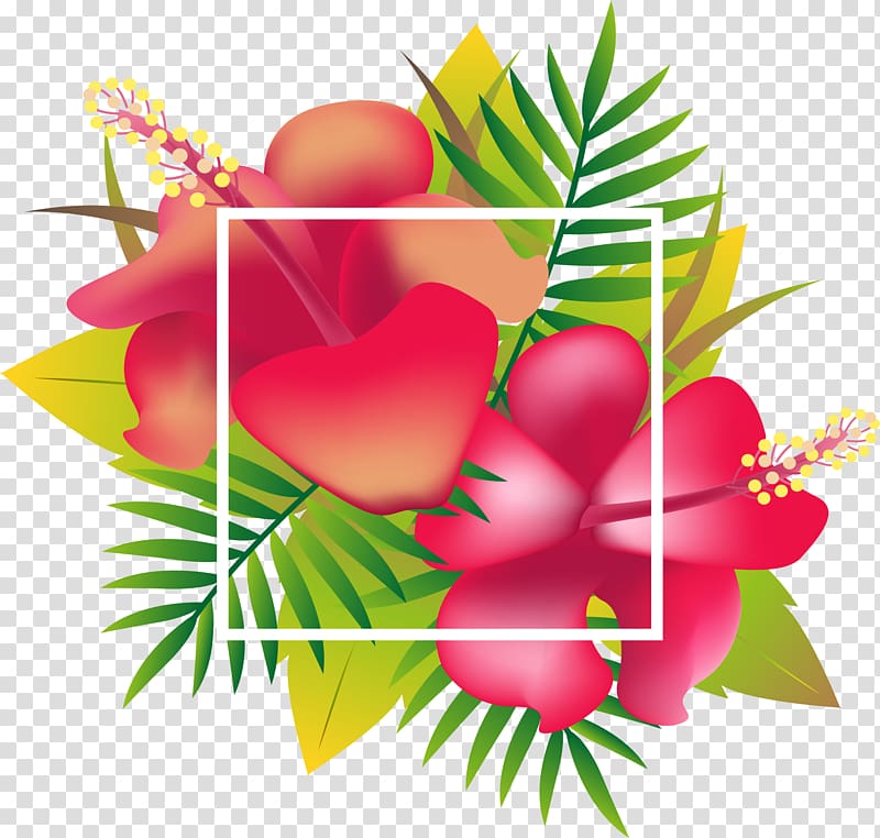 red flowers illustration, Header Floral design Tropics, Red Tropical Flower Header Box transparent background PNG clipart