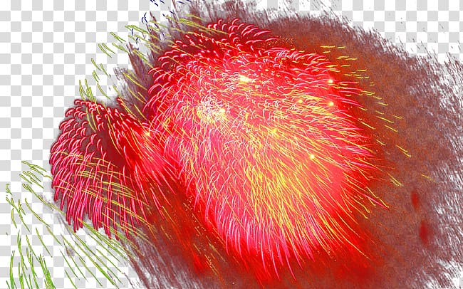 fireworks,explosion,colorful transparent background PNG clipart