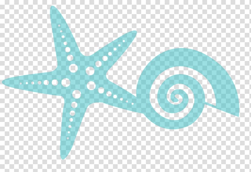 Starfish Marine invertebrates Echinoderm Sea, mar transparent background PNG clipart