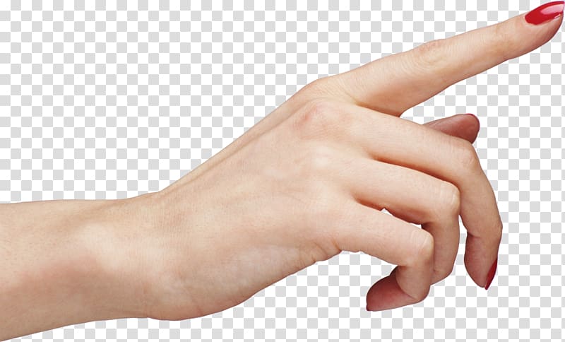 Upper limb Digit Hand Middle finger, hand transparent background PNG clipart