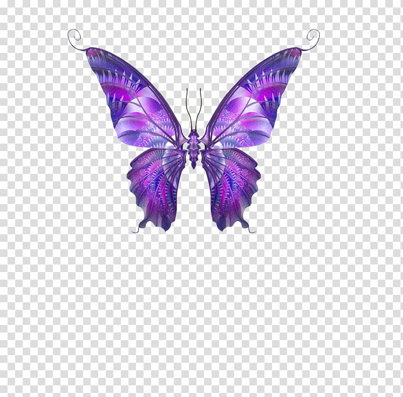 Butterfly Papillon dog Hemiargus ceraunus , Purple Butterfly transparent background PNG clipart