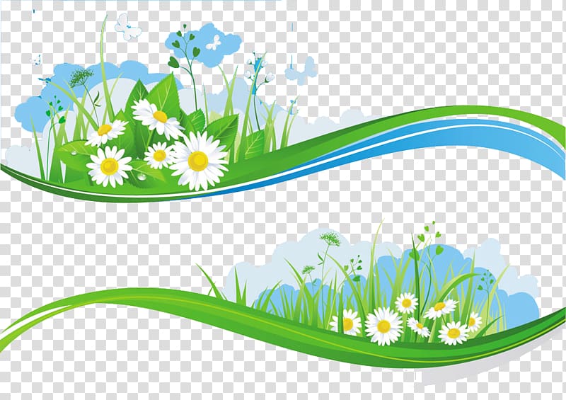 Banner Sky Flower Illustration, Small green daisy flower box transparent background PNG clipart