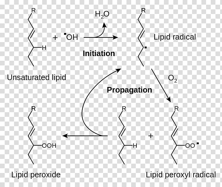 Lipid peroxidation Rancidification Redox Radical, others transparent background PNG clipart