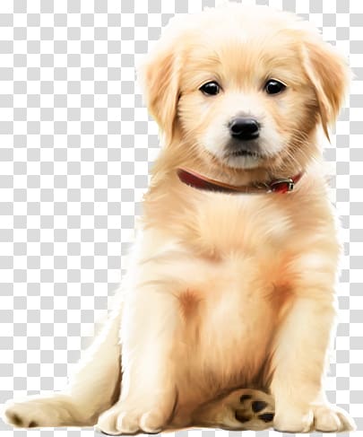 a small brown dog transparent background PNG clipart