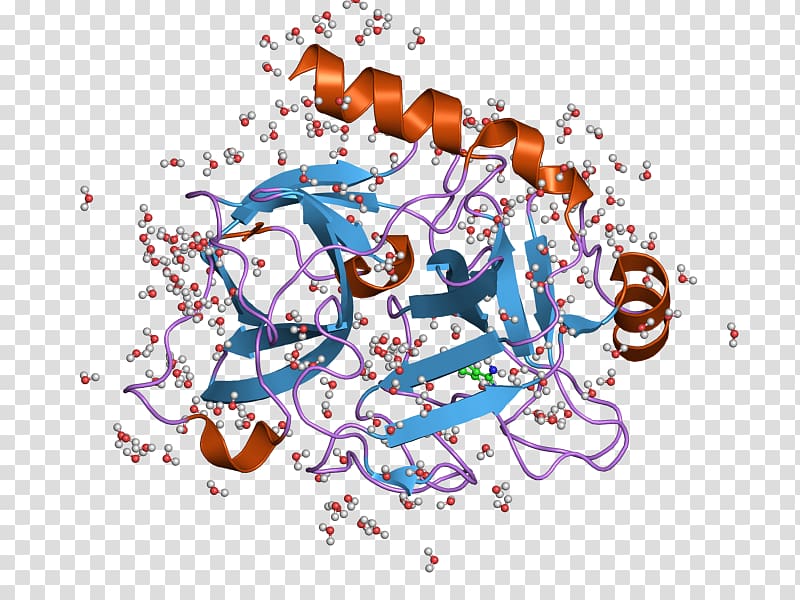 Illustration Desktop Organism, structurebased drug design transparent background PNG clipart