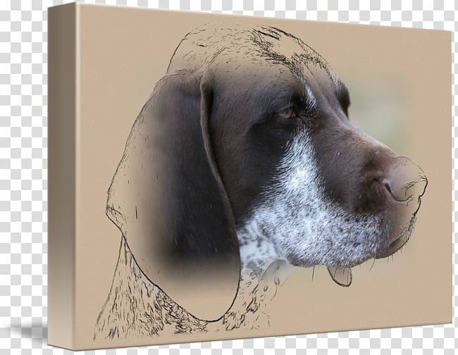 Weimaraner Dog breed Crossbreed, dog in kind transparent background PNG clipart