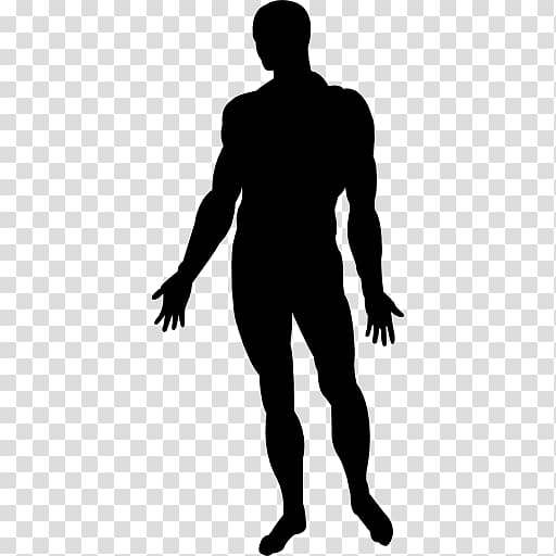 Human body Homo sapiens Female body shape, shape transparent background PNG clipart