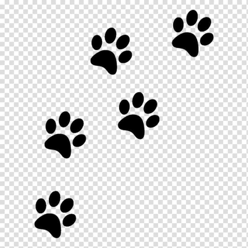 Cat Yorkshire Terrier Paw , tampon amour transparent background PNG clipart