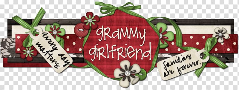 Grammy Award Girlfriend Boy Love, mother-teresa transparent background PNG clipart