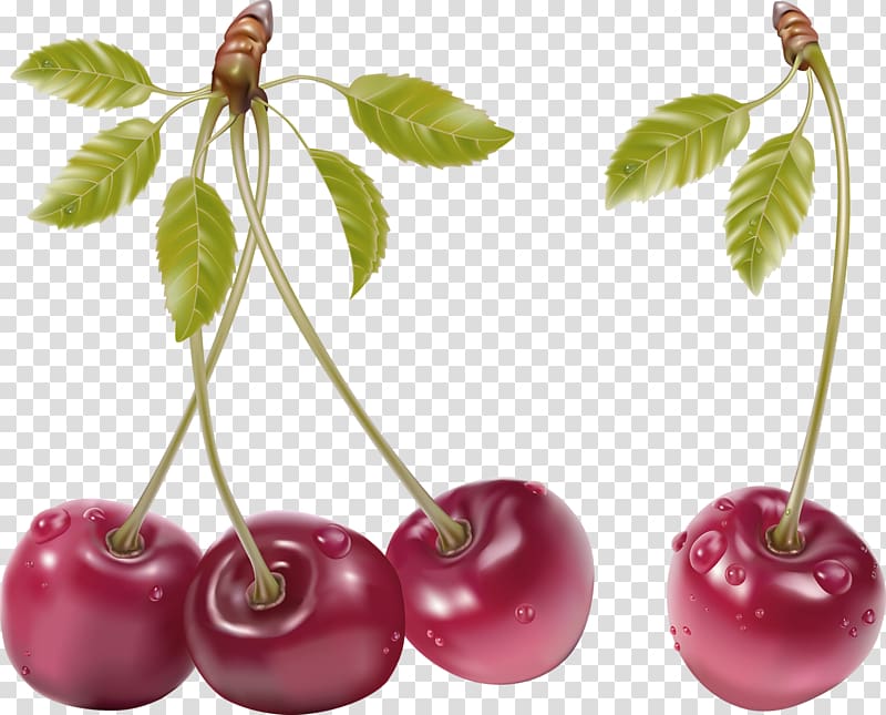 Fruit Cherry , Red fresh cherry decoration pattern transparent background PNG clipart