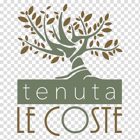 Tenuta Le Coste S.R.L. Aix-en-Provence Amazon.com Amazon Alexa Olive, umbro logo transparent background PNG clipart