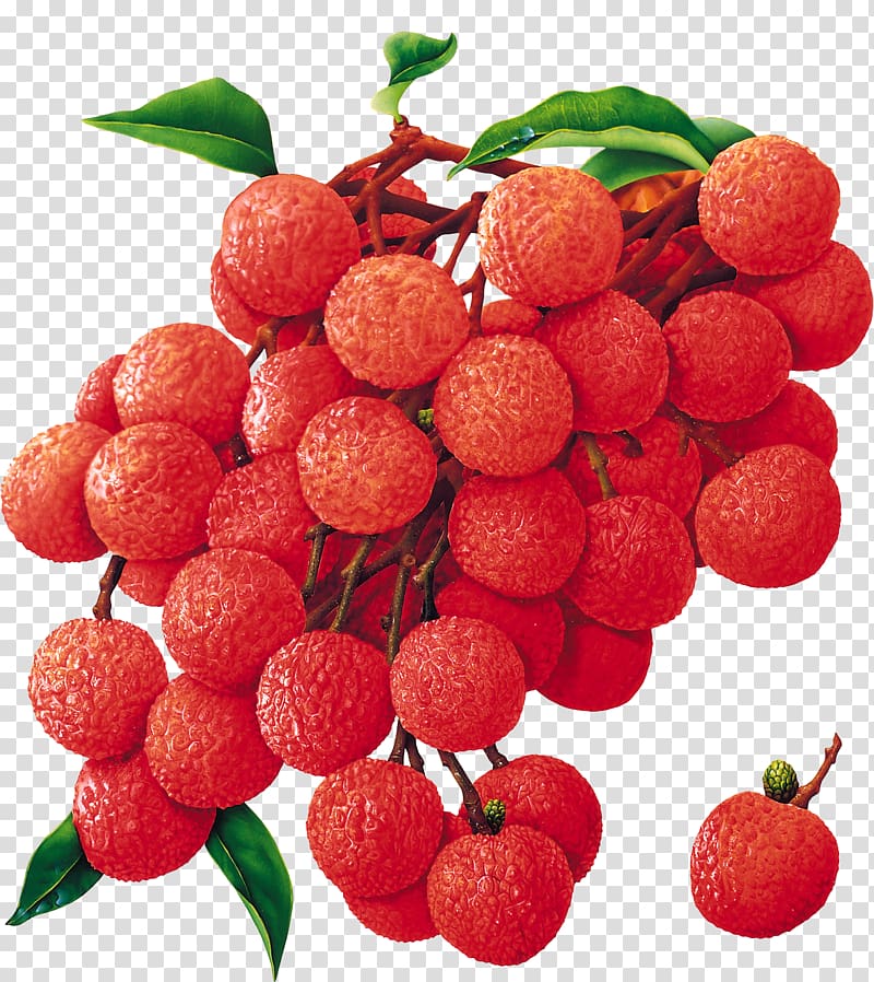 round red fruits art, Tropical fruit Fruit tree China 3 lychee Food, lychee transparent background PNG clipart