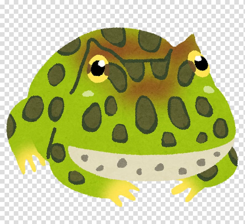 True frog Argentine horned frog いらすとや, frog transparent background PNG clipart