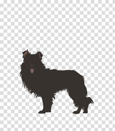 Schipperke Affenpinscher Border Collie Rare breed (dog) Shetland Sheepdog, others transparent background PNG clipart