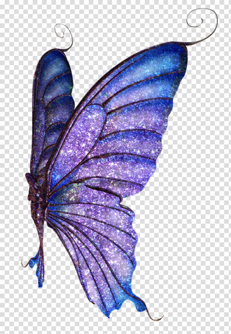 Brush-footed butterflies Butterfly Moth Fairy Glitter, butterfly transparent background PNG clipart