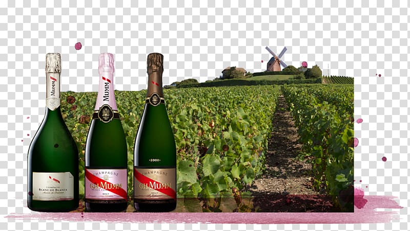 Champagne G.H. Mumm et Cie Wine Cramant G.H. von Mumm, champagne transparent background PNG clipart