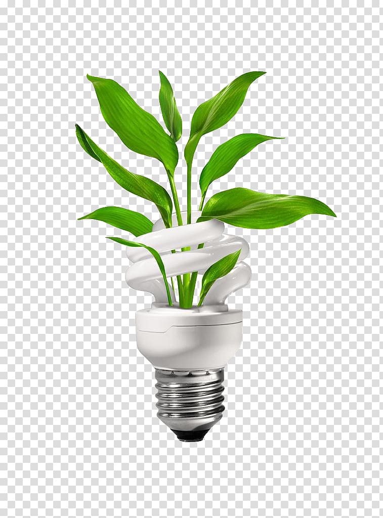 Energy conservation Energy engineering , Green energy-saving bulbs transparent background PNG clipart