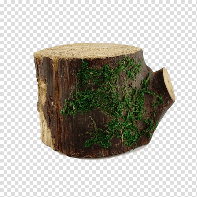 Tree stump, tree stump transparent background PNG clipart