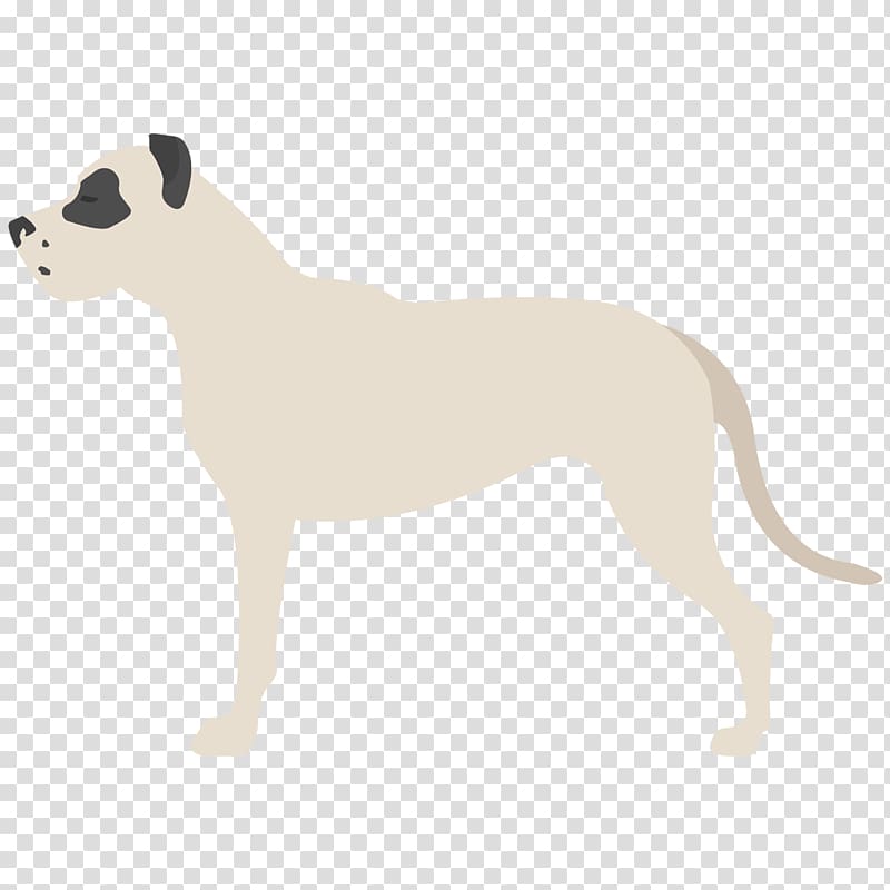Great Dane Italian Greyhound Whippet Puppy Dog breed, Dogo Argentino transparent background PNG clipart