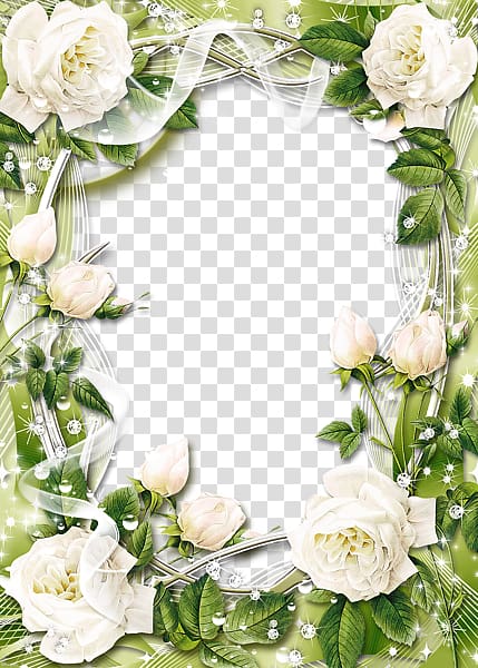 white rose flower border , frame Rose White , White Rose Border transparent background PNG clipart