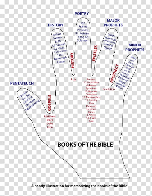 Bible study Book Gospel of Matthew Acts of the Apostles, Chapters And Verses Of The Bible transparent background PNG clipart