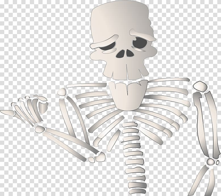 Cartoon Human skeleton Drawing, Skeleton transparent background PNG clipart