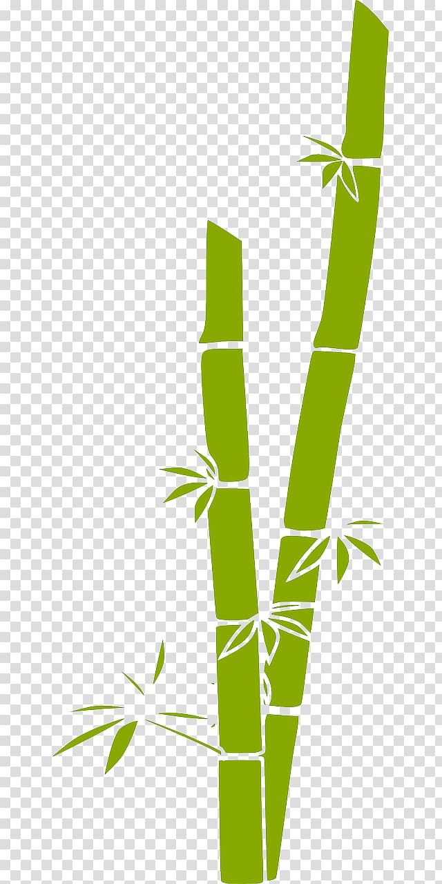 Bamboo , sugar cane transparent background PNG clipart
