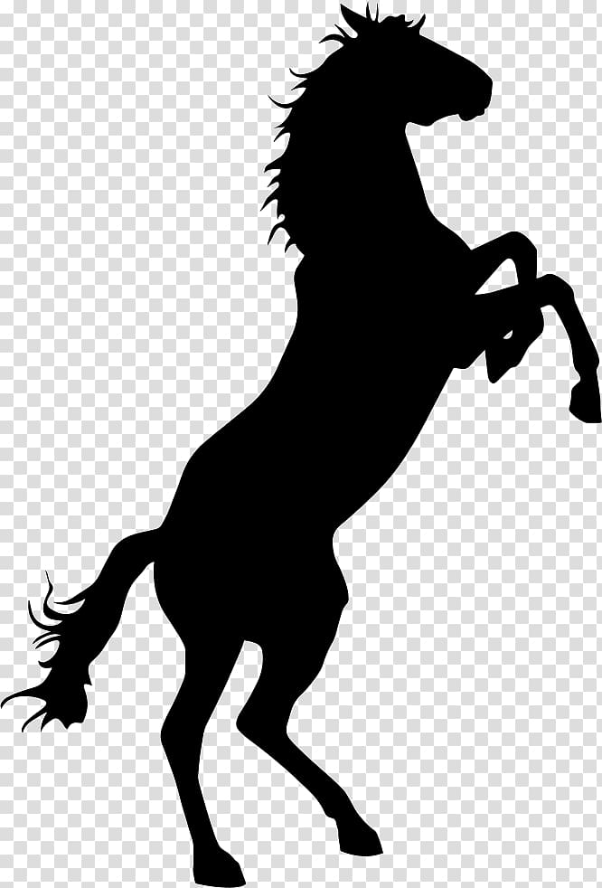 Mustang Bronco Bucking Criollo horse Stallion, mustang transparent background PNG clipart