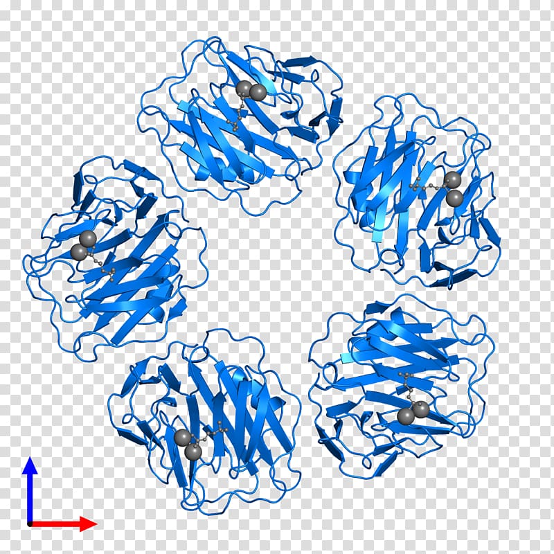 C-reactive protein Line , Protein Data Bank transparent background PNG clipart