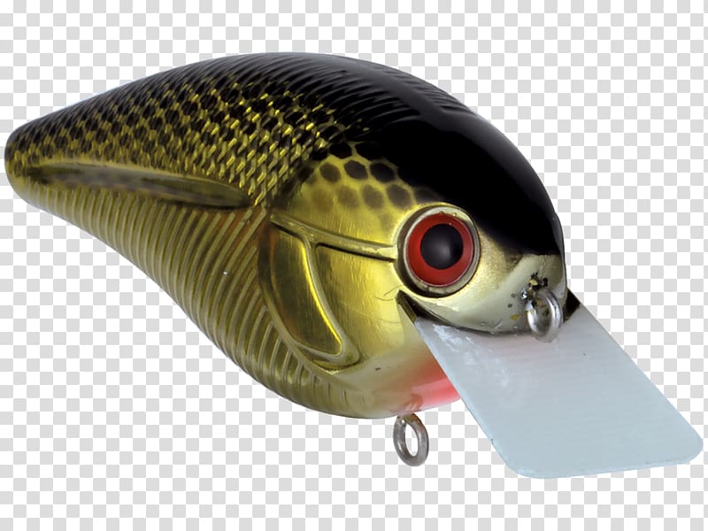Fishing Baits & Lures Livingston Lures AC power plugs and sockets, large mouth bass transparent background PNG clipart