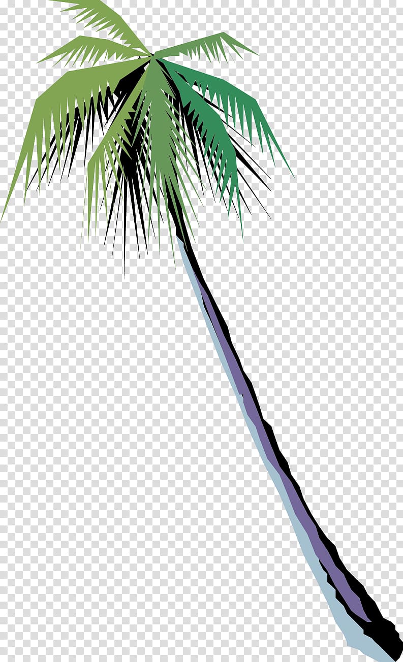 Arecaceae Tree Coconut, Green tree transparent background PNG clipart