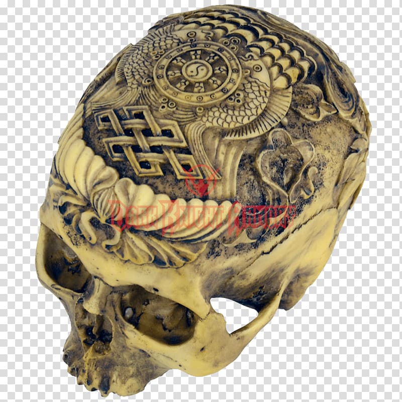 Human skull Human skeleton Anatomy, skull viking transparent background PNG clipart