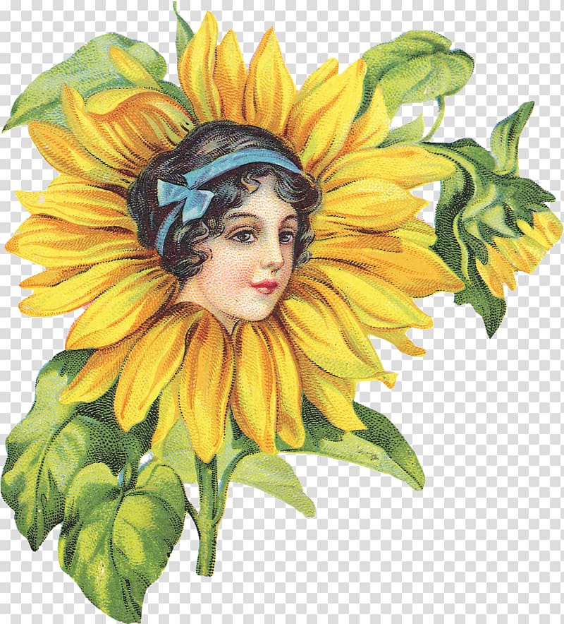 Common sunflower Drawing Painting Decoupage , painting transparent background PNG clipart