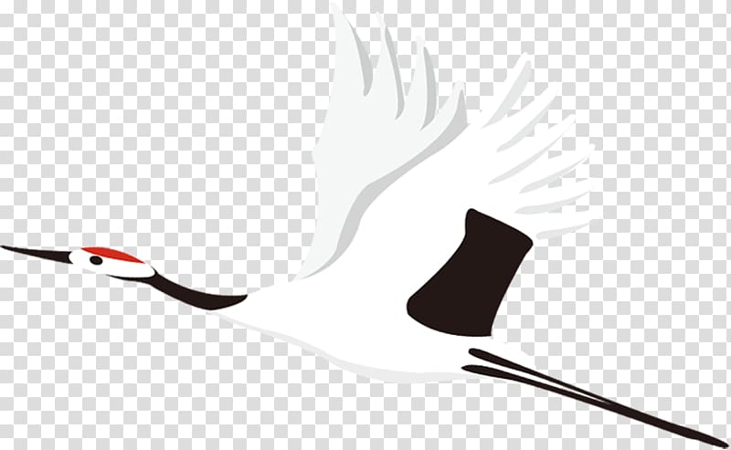 Common Crane Bird Vecteur, white crane transparent background PNG clipart