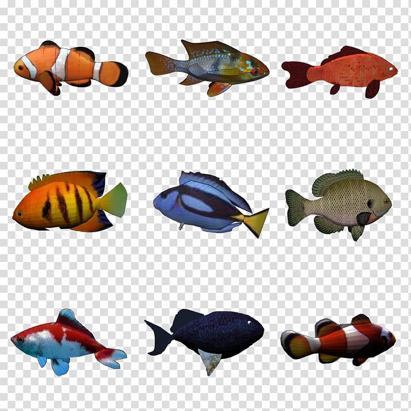 Object detection Freshwater fish Exemplar theory, fish tank transparent background PNG clipart