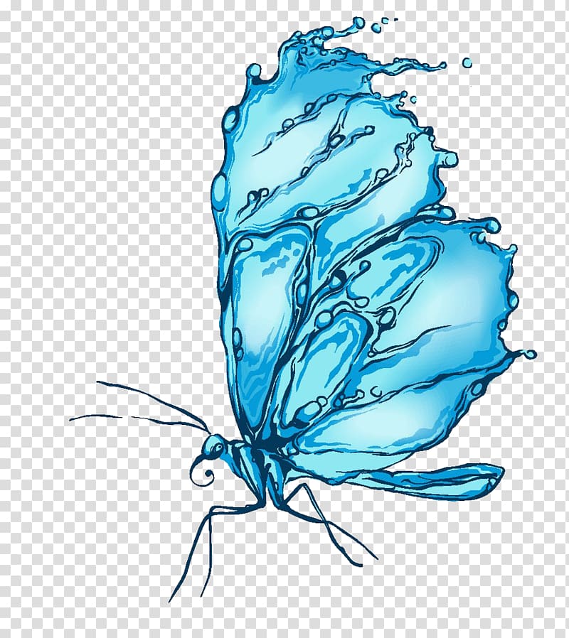 , blue butterfly transparent background PNG clipart