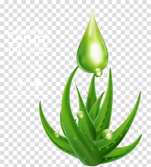 Aloe vera Facial Icon, Beautifully decorated Aloe Mask transparent background PNG clipart