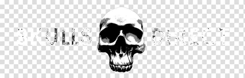 Snout Animal Skulls Skullsdirect Ltd Jaw, skull transparent background PNG clipart
