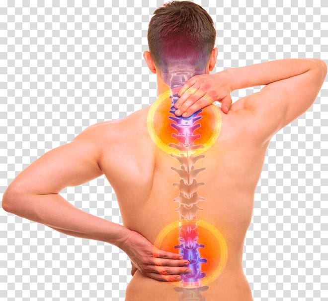 Back pain Vertebral column Human back Human body Bone, Spine Pain Institute transparent background PNG clipart