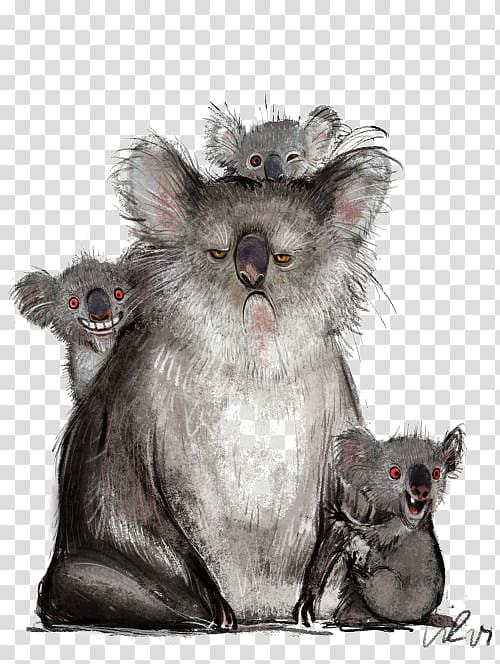 Koala Humour Blog Website, Koala transparent background PNG clipart
