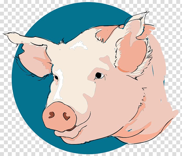 Wild boar , pig transparent background PNG clipart