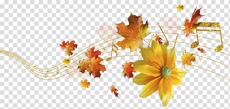 Flower Floral design Still life , autumn transparent background PNG clipart