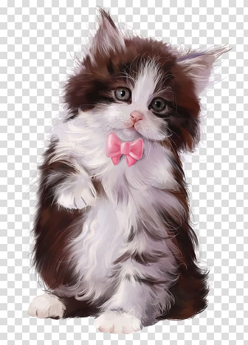 Kitten Cat Toy Poodle Puppy, Chaton transparent background PNG clipart