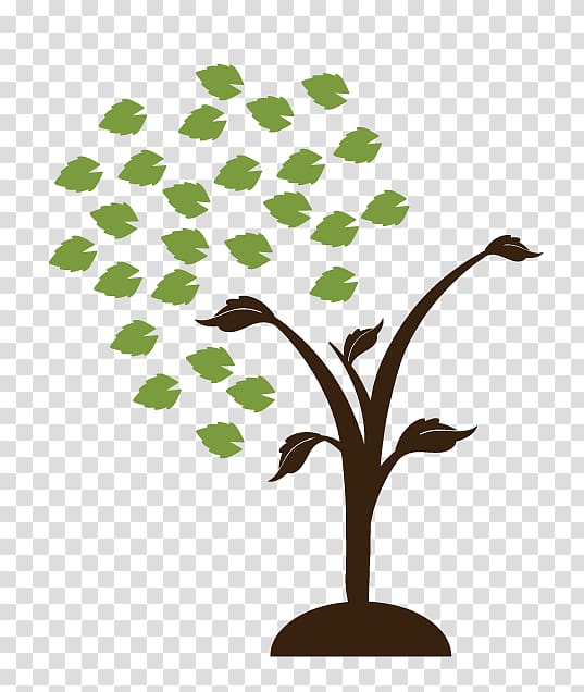 Twig Tree World Nursery & Landscaping Shrub, tree transparent background PNG clipart