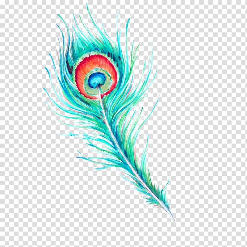 green feather illustration, Feather Watercolor painting, Hand painted watercolor peacock hair transparent background PNG clipart