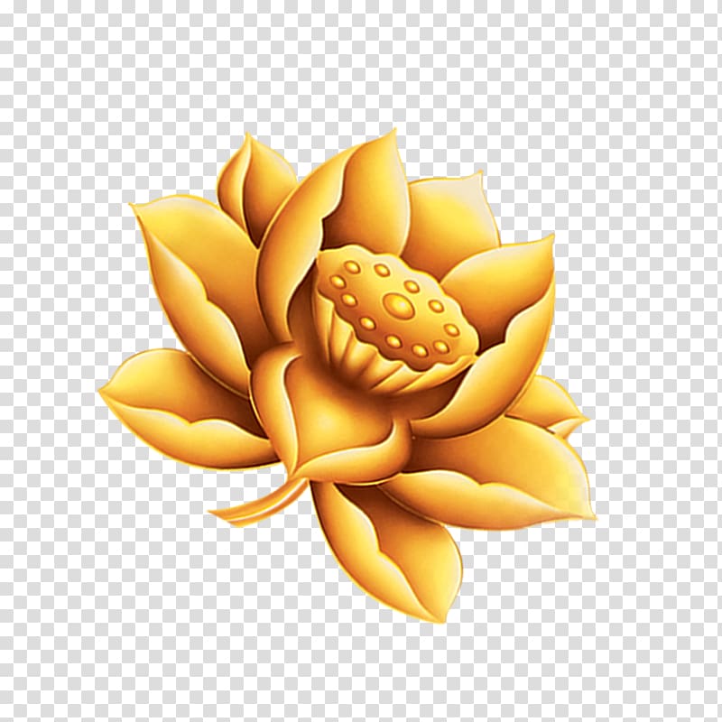 Gold , Golden Lotus Free to pull the material transparent background PNG clipart