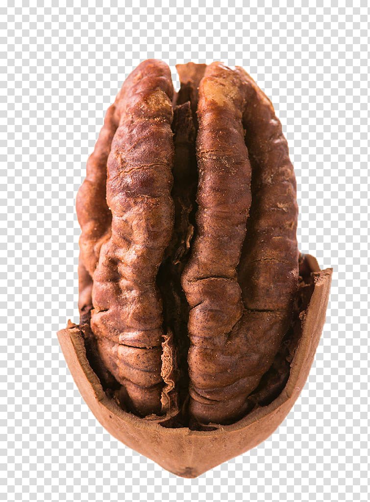 Knackwurst Pecan Mettwurst Kaszanka Boudin, Butter pecan transparent background PNG clipart