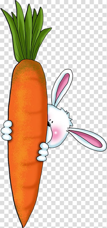 Carrot cake Hare Rabbit , carrot transparent background PNG clipart