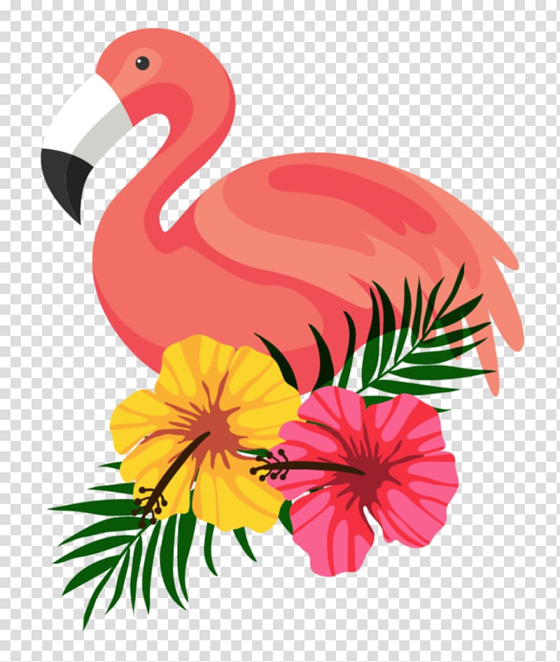 pink flamingo bird, Flamingo , Summer Flamingo transparent background PNG clipart